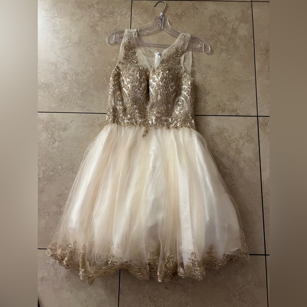 Elegant Cream and Gold dress